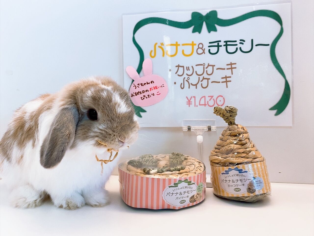 Bears kitchen くったりうさぎさん Bears kitchen くったりうさぎさん Bear's kitchen ベアーズ