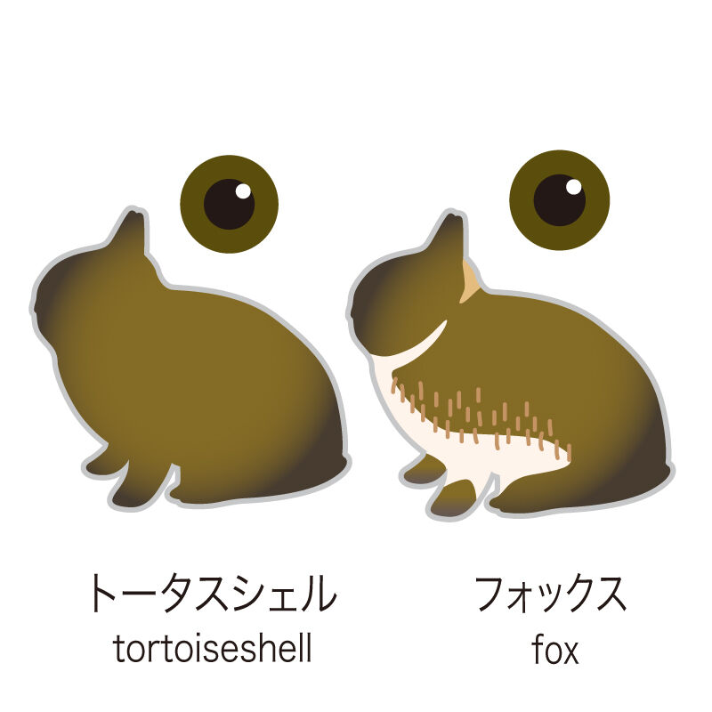 ウサギ Amazon.co.jp: キュート販売 ぬいぐるみ ふわふわうさぎ S 這い