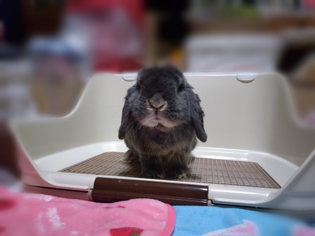 Point Blur_20250222_024043