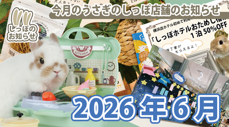 うさぎのしっぽ2026年6月のお知らせ