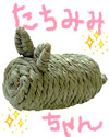 BlogPaint