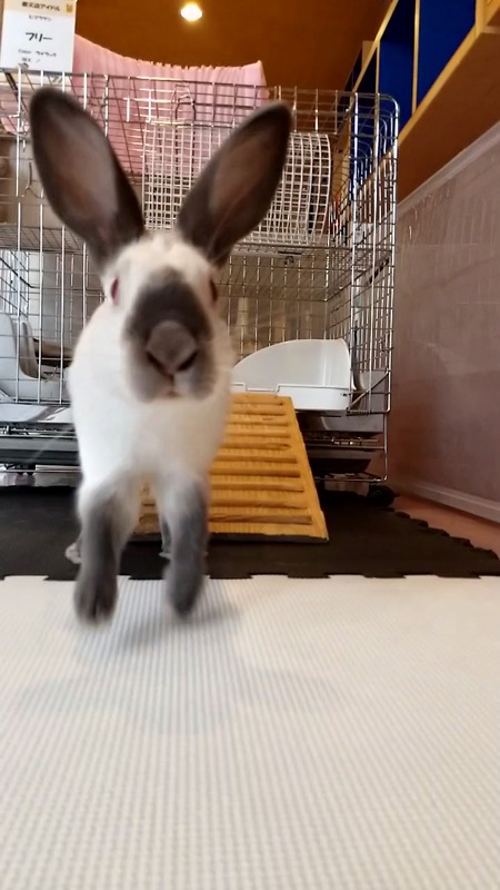 VideoCapture_20190625-130920