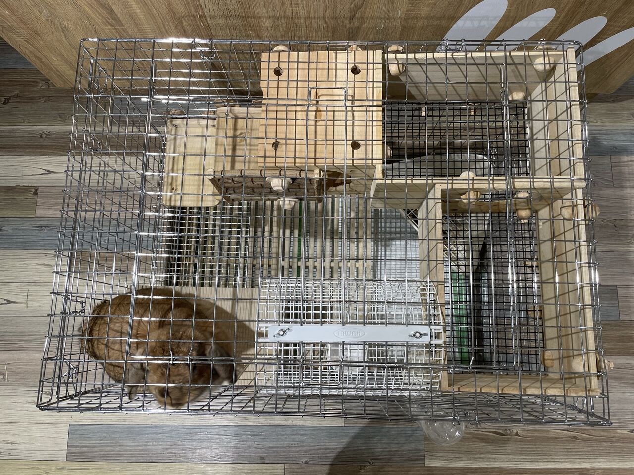 洗足店のデラックスケージ！ : うさぎブログ うさぎのしっぽ公式ブログ