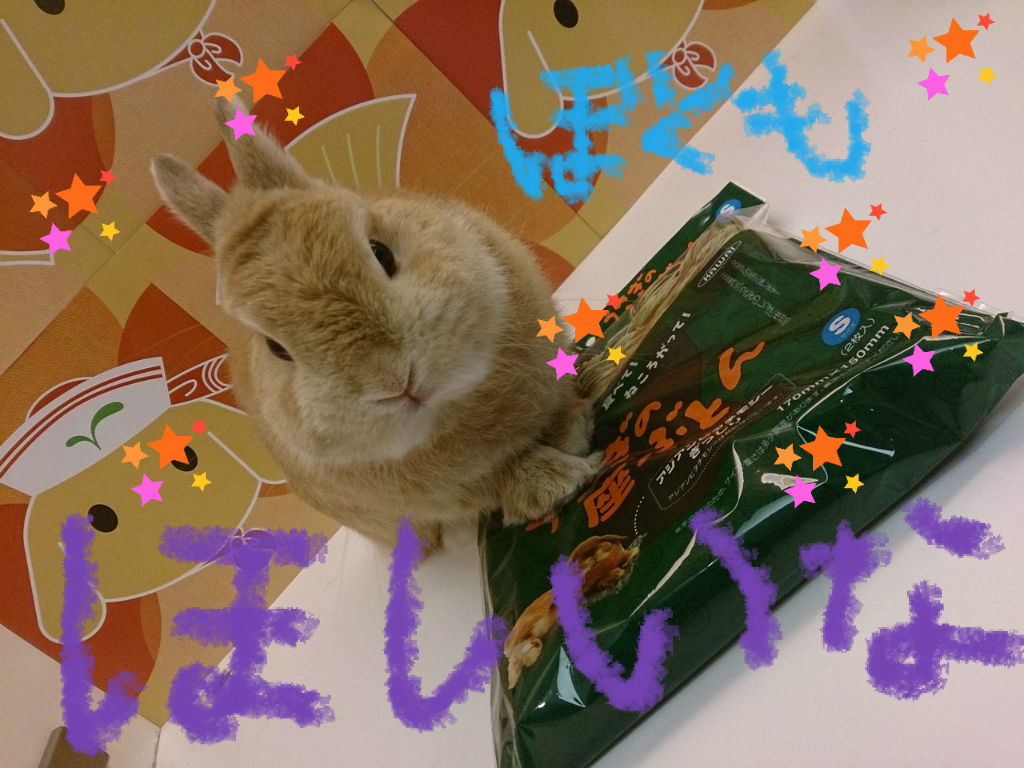 うさぎブログ うさぎのしっぽ公式ブログ 日々しっぽ 15年10月24日 Livedoor Blog ブログ