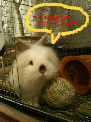 BlogPaint