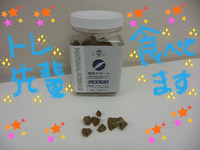 BlogPaint