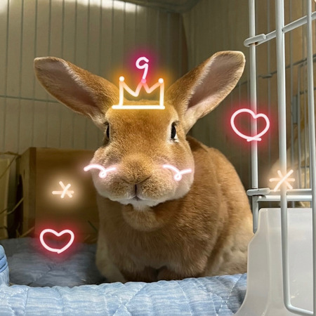 DBA7255F-564B-4CE5-8B1A-06B4A37E42A2