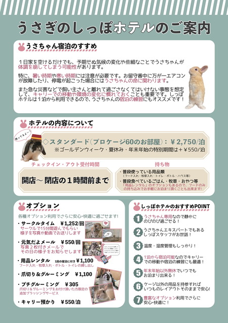 ¥Æ¥Ê¥ó¥È¥Û¥Æ¥ëA3-1