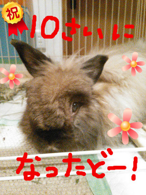 BlogPaint