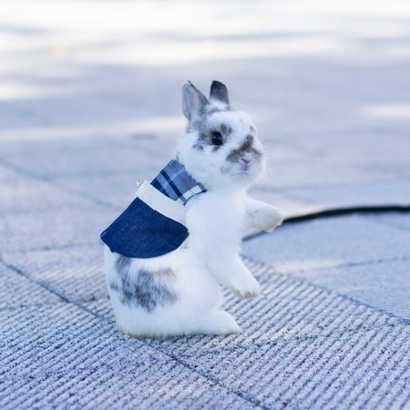 �����ˡ��֥롼1