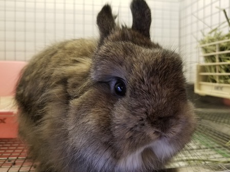 �֥��������㤪