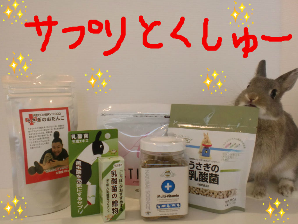 うさぎブログ うさぎのしっぽ公式ブログ 日々しっぽ 店長くんセール情報