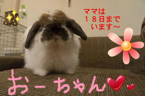 BlogPaint