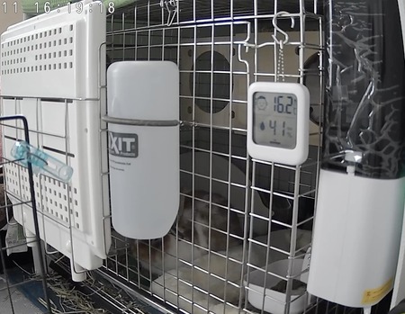 3C64CF016C2B_20250311161920555