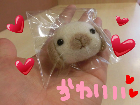 BlogPaint