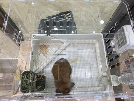 4C493C21-7B38-4803-841E-99E50E86B271