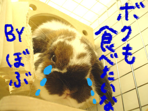 BlogPaint