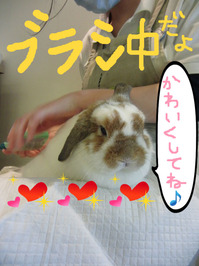 BlogPaint