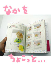 BlogPaint