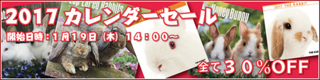 calendar2017sale