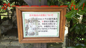 BlogPaint