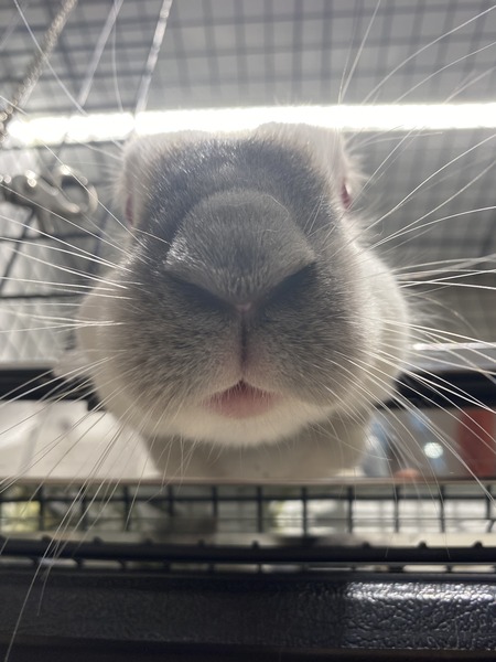 F6EE5811-93A6-461E-9BA9-291C80372EE9