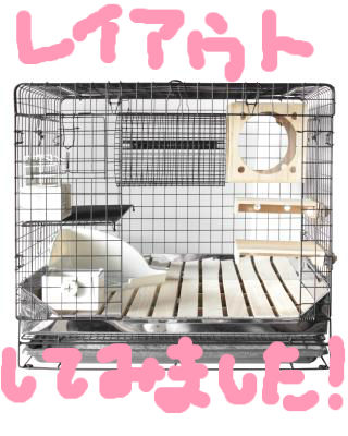 BlogPaint