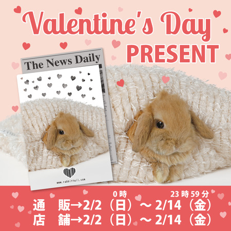 Valentine's Day プレゼント 2025