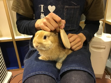 375CFDAD-4EC5-4BBF-8146-BF89A59889BE