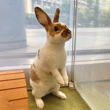 うたーーっち