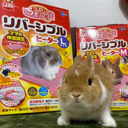 うさちゃん用ヒーター三選をご紹介！ : うさぎブログ うさぎの