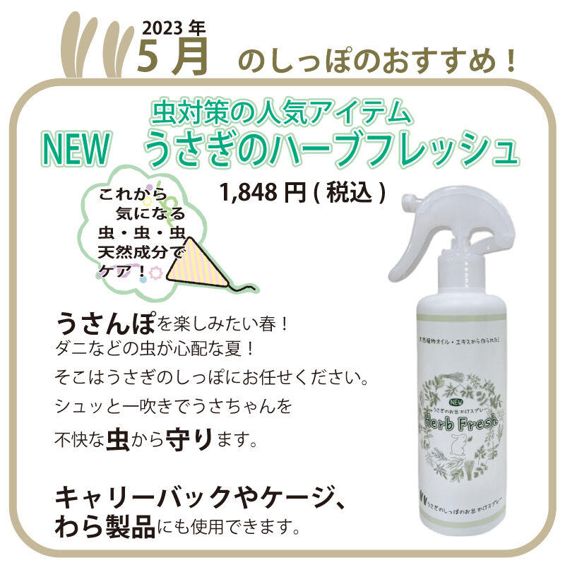 新入りちゃん達がきました！ : うさぎブログ うさぎのしっぽ公式ブログ