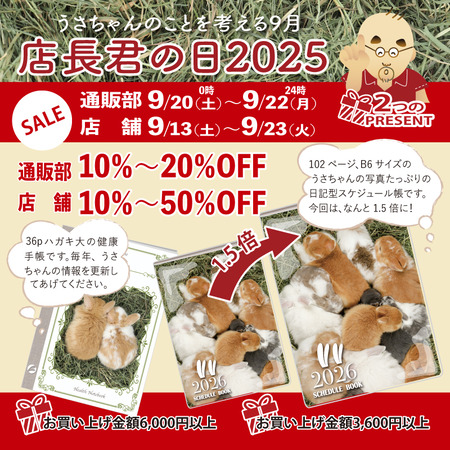 今週末からいよいよセール！！ : うさぎブログ うさぎのしっぽ公式