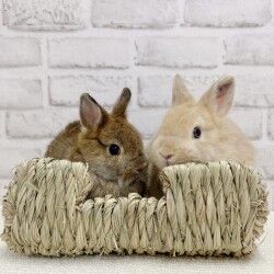 GetAttachmentThumbnail