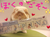 BlogPaint