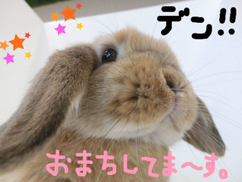BlogPaint