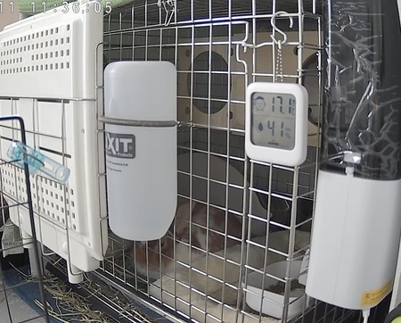 3C64CF016C2B_20250311113606436