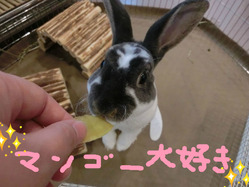 BlogPaint
