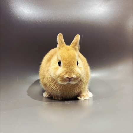 8936