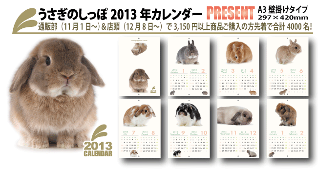 うさぎブログ うさぎのしっぽ公式ブログ 日々しっぽ 12年11月 Livedoor Blog ブログ