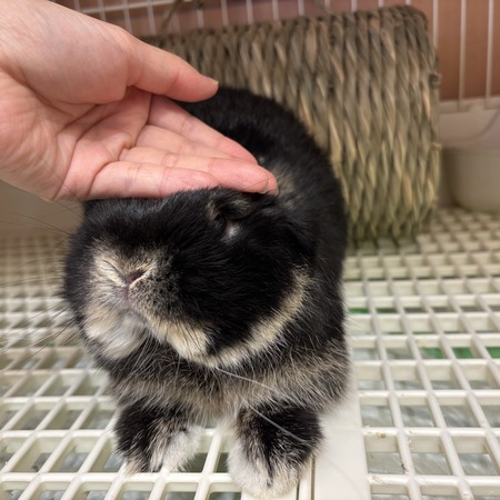 D0FA3E4F-063A-4886-BD3B-F4E50DBC1C33