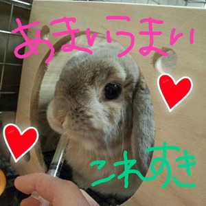 シリンジ