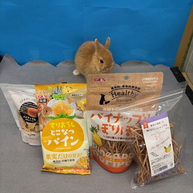 【閲覧用】うさぎおやつサンプルセット 小動物用品 【閲覧用】うさぎおやつサンプルセット