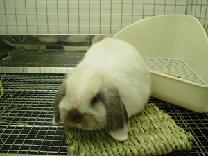 blog,07-27-3
