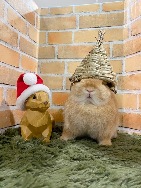 SNOW_20241219_060616_733