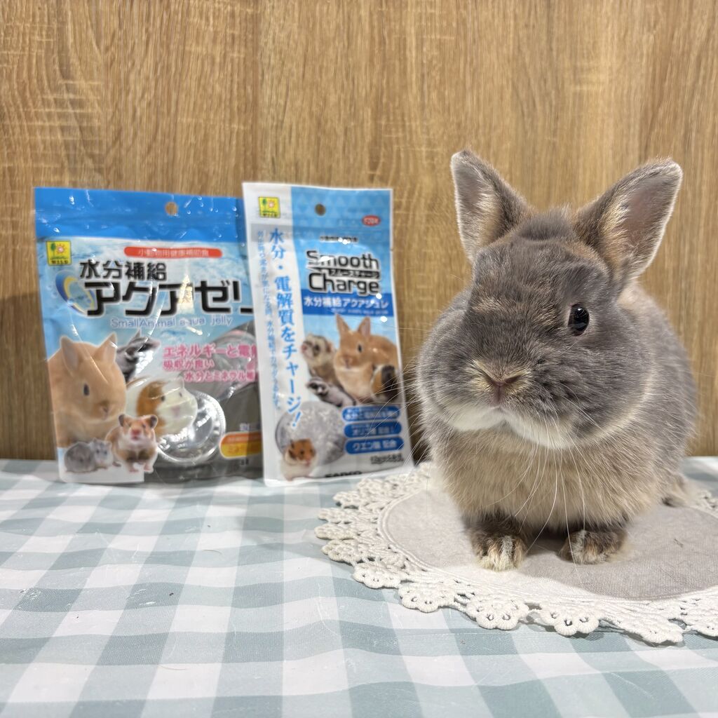 うーさんの日特割商品② : うさぎブログ うさぎのしっぽ公式ブログ