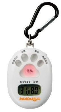 うさぎブログ うさぎのしっぽ公式ブログ 日々しっぽ 湿気は大敵 要注意です