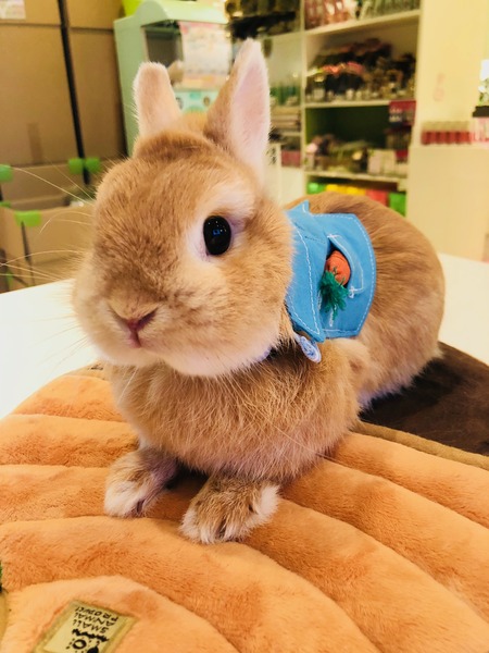 IMG-4710