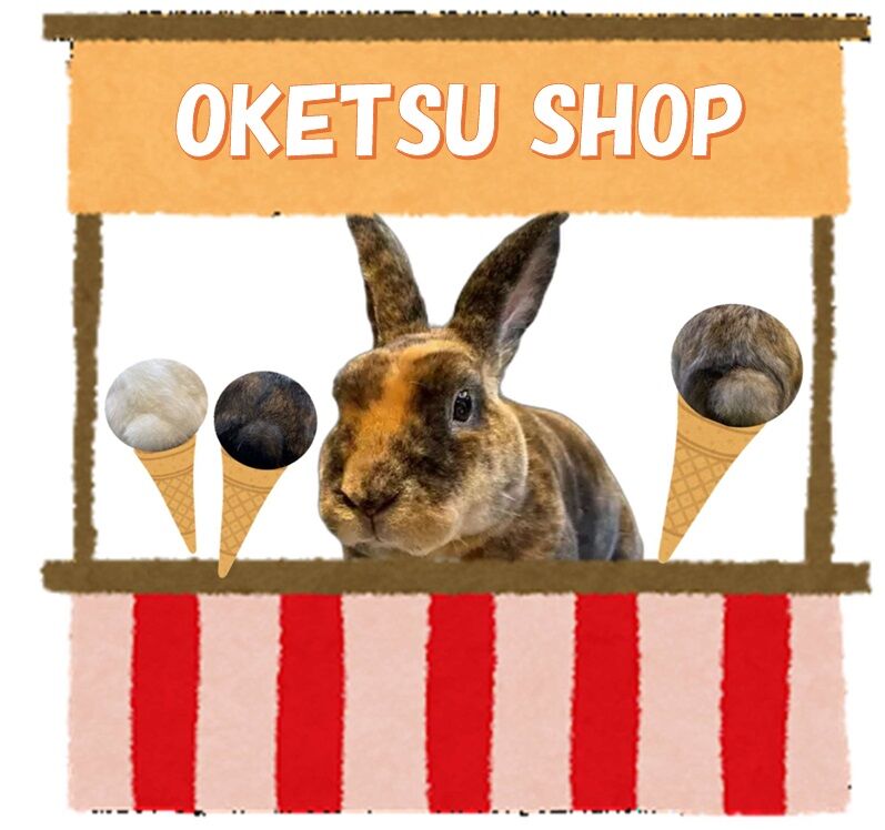 JOYくんのおケツ屋さんへようこそ！ : うさぎブログ うさぎのしっぽ