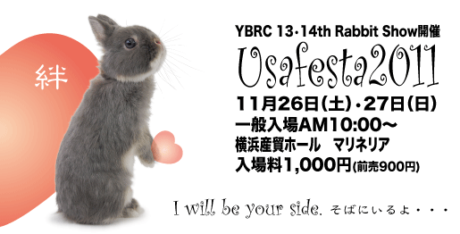うさぎブログ うさぎのしっぽ公式ブログ 日々しっぽ ありがとうございました 洗足店 うさぎブログ うさぎのしっぽ公式ブログ 日々しっぽ ありがとうございました 洗足店
